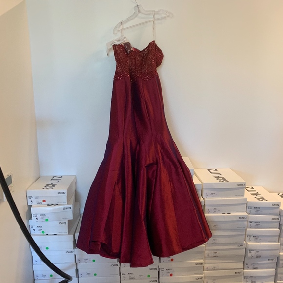 Ellie Wilde - Picture 3 of 3